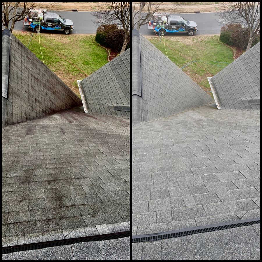 Roof cleaning