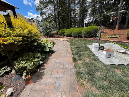Freshly cleaned and sealed sidewalk pavers with restored color and joint stability