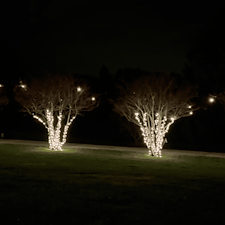 Christmas-Light-Installation-in-Mooresville-Cascading-Tree-Lights-C9-Roofline-Glow 1