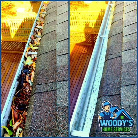 Gutter cleaning new